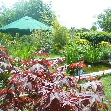 Mira Ceti Yurt 세테