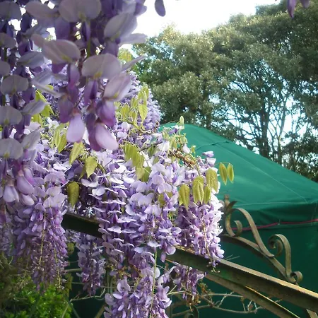 B&B Mira Ceti Yurt 세테