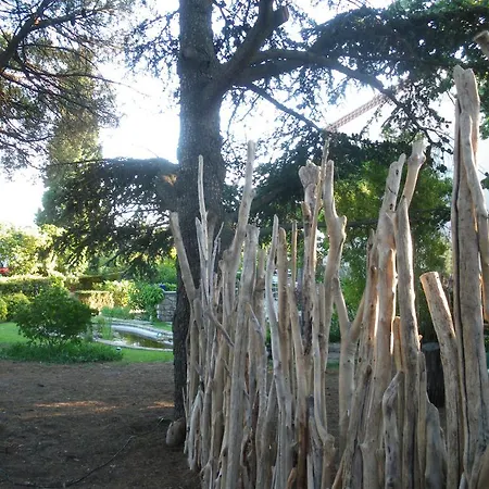 Mira Ceti Yurt B&B 세테