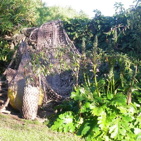 Mira Ceti Yurt Bed & Breakfast