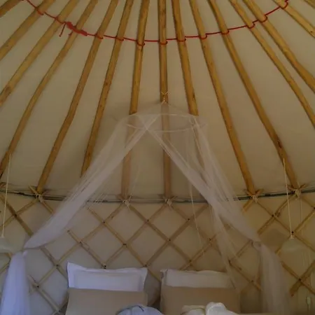 Mira Ceti Yurt *