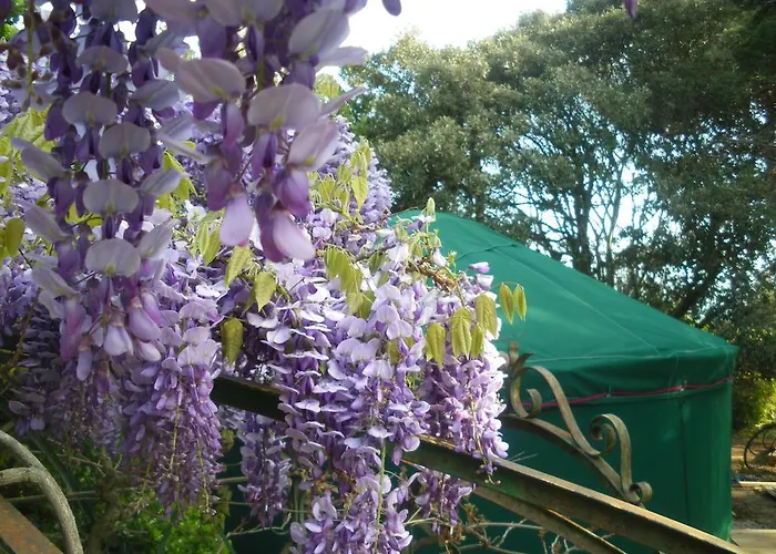 Bed & Breakfast Mira Ceti Yurt Sète